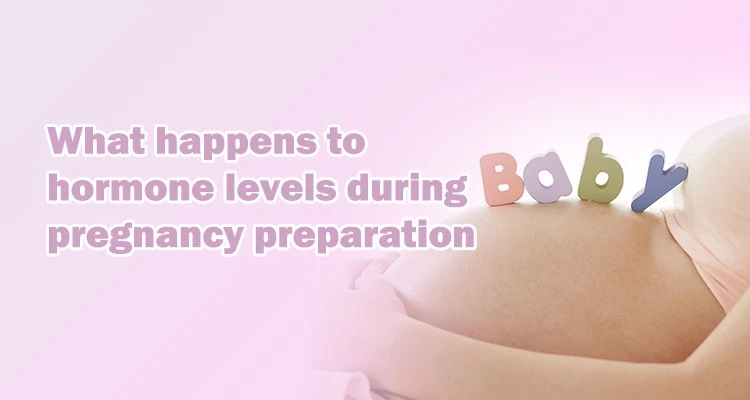 pregnancy preparation pregnancy preparation
